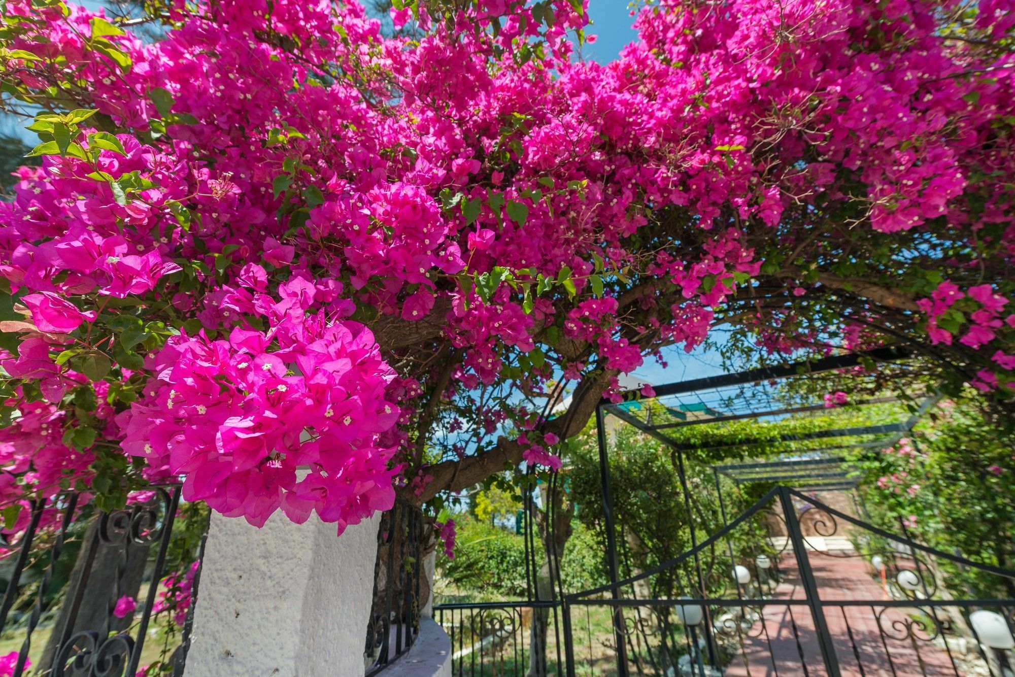 Villas Marianna Kalavárda المظهر الخارجي الصورة